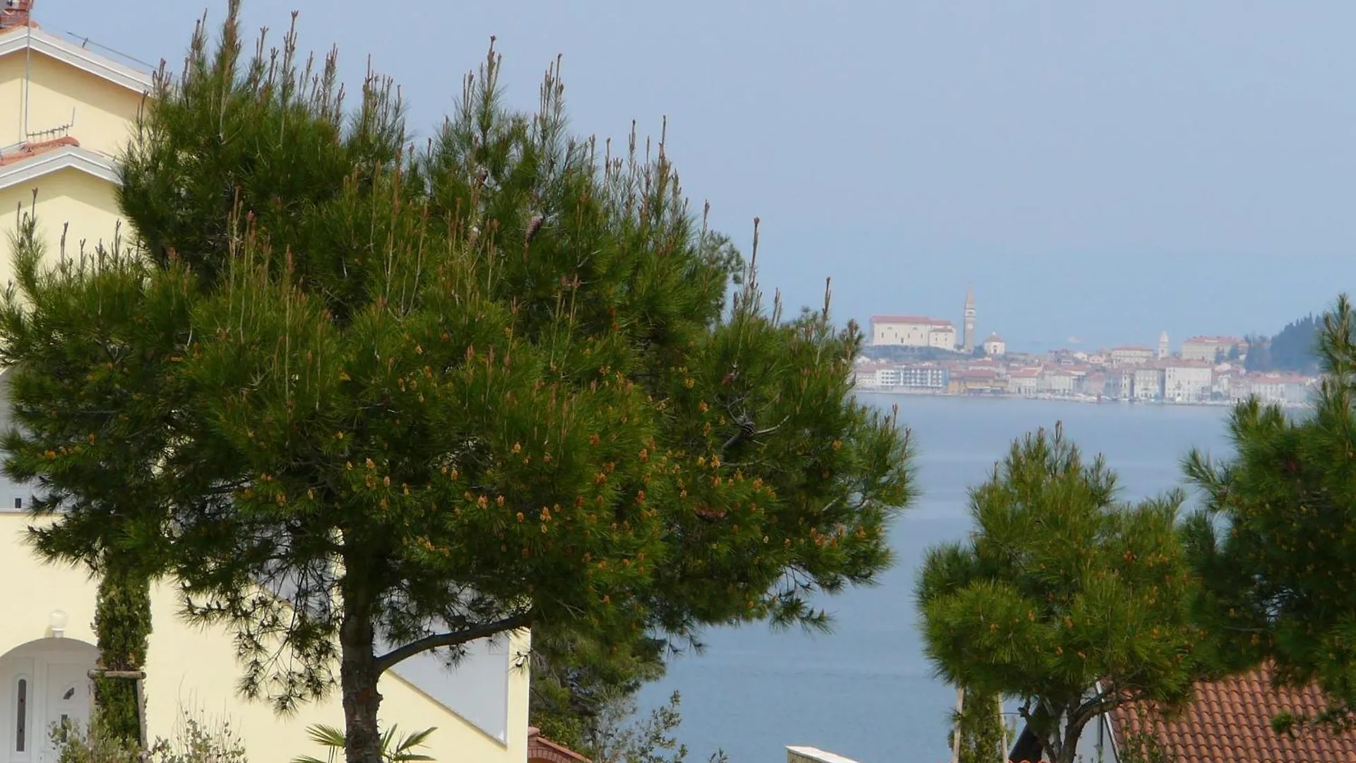 Ferienwohnung Mit Pool, Garten Und Meerblick Savudrija Croatia